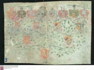 Ahnenprobe des Johann Friedrich v. Auwach. - Pergament