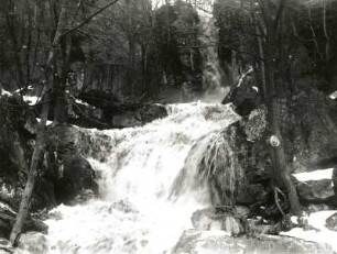 Langenhennersdorfer Bach : Sächsische Schweiz. Gottleubatal. Wasserfall in der Mündungsstufe des Langenhennersdorfer Baches (Hochwasser)