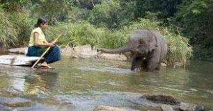 Chandani und ihr Elefant