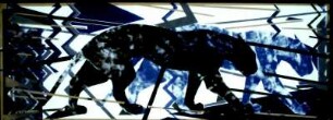 2. Pantherfries: Paar Blau-Schwarz