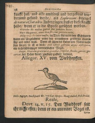 Allegor. XV. vom Wiedhopffen.