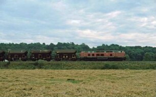 Sigmaringendorf Lok 215 068 Ng Tds-Wagen