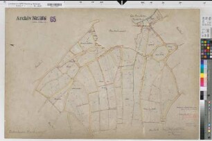 Diedenshausen (Bad Berleburg), Zusammenlegung Diedenshausen, Urkarte 2 Diedenshausen Flur 8