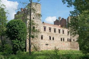 Burg, Drzewica, Polen