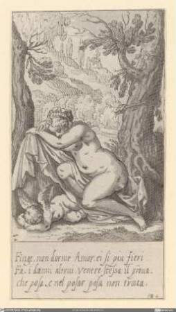 Venus und schlafender Amor