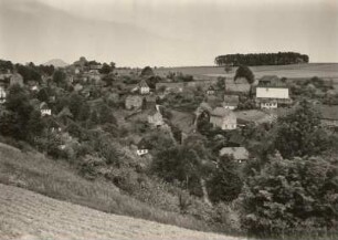 Reinhardstdorf-Schöna. Oberer Ortsteil. Blick gegen Zirkelstein und Rosenberg