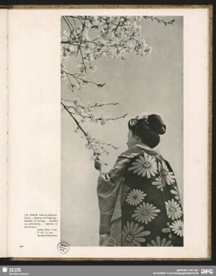 Geisha im Frühling