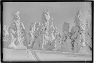 Keilberg (Klínovec). Winterlandschaft