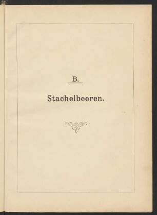 B. Stachelbeeren