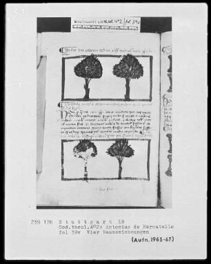 Antonius de Mercatello, Liber de arte memoria cum commentario — Textseite mit zwei Miniaturen, Folio 39verso
