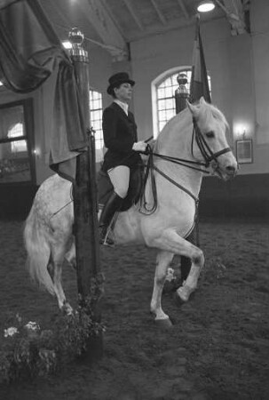 Festabend klassischer Reitkunst beim Reitinstitut Egon von Neindorff