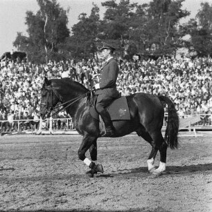 Moritzburger Hengstparade. Reiter in Uniform beim Vorführen verschiedener Gangarten
