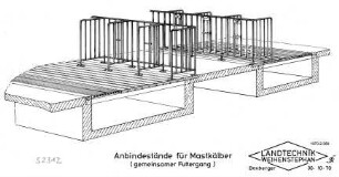 Anbindeställe für Mastkälber (gemeinsamer Futtergang)