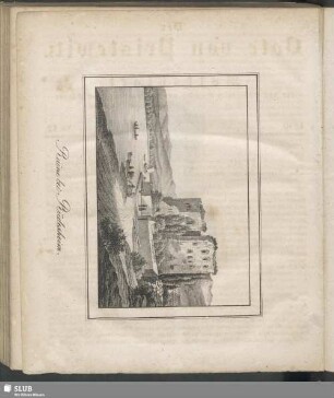 Ruine bei Rüdesheim