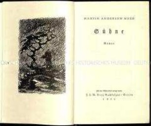 Roman von Martin Andersen Nexö in deutscher Übersetzung