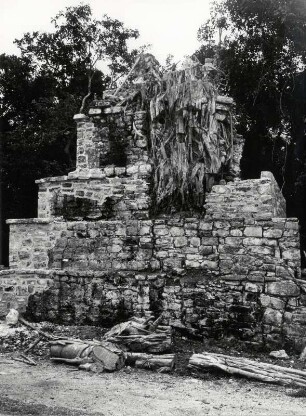 Kleine Maya-Pyramide bei Xel-Há, die von Bäumen überwachsen war