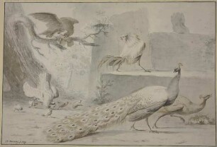 Hühnerhof, von einem Adler überfallen