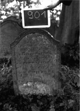 Grabstein 901 (Index: 100103757) Material: Sandstein Zustand: an den Rändern stark verwittert Maße HxBxT: 75x47x8 cm Beschreibung: Stele, Konvexbogenabschluss, Schriftfeld eingetieft: Grabstein 901