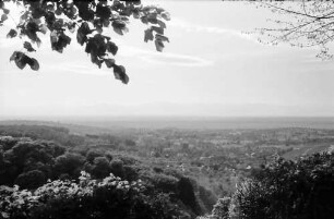 Badenweiler: Fernblick zur Rheinebene