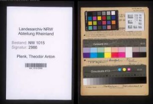 Entnazifizierung Theodor Anton Plenk , geb. 27.09.1897 (Sportlehrer)