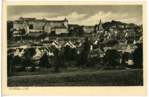 Colditz. Blick auf Colditz