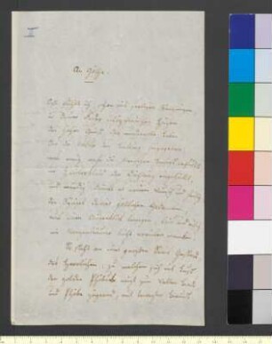 Brief von Mereau (Brentano), Sophie Friederike an Goethe, Johann Wolfgang von