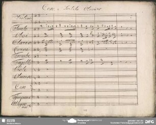 Coro e Cavatina: "Cantate o popoli"