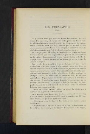 Les Eucalyptus.
