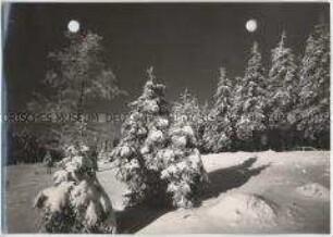 Winterlandschaft, Taunus