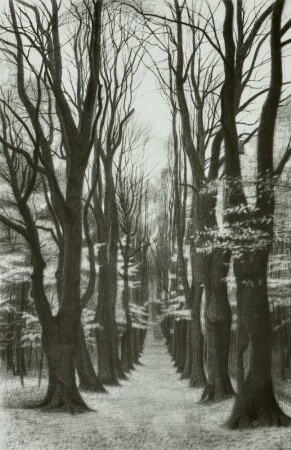 Allee zur Landeskrone