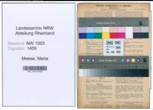 Entnazifizierung Maria Meese , geb. 05.09.1901 (Berufsberaterin)
