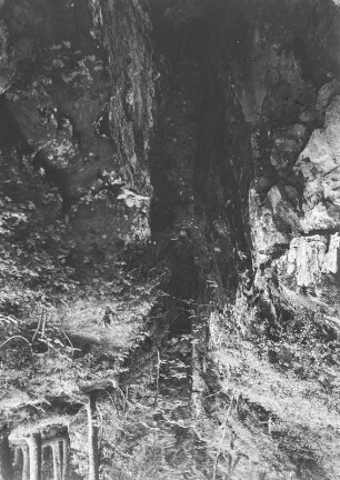 Höhle : Eine Höhle in einer Klamm im Wald