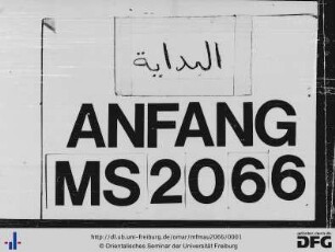 MF Mau 2066