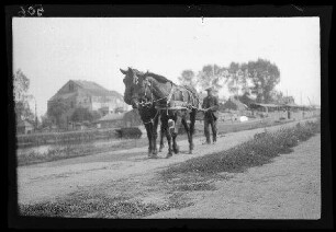 Bei Douai (Dep. Nord, Frankreich): Pferdegespann mit einem Mann dahinter ("am Kanal: Pferde, die ein Schiff ziehen")
