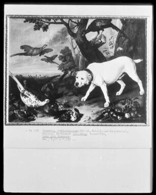 Hund und Fasane