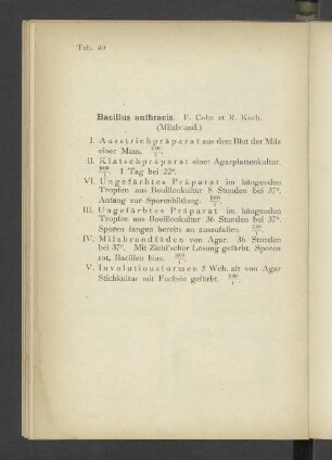 Tab. 40 Bacillus anthracis