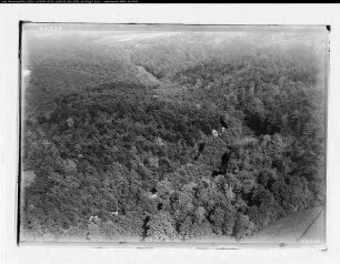 Lützenkirchen-Quettingen, Wald bei Lützenkirchen-Quettingen