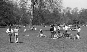 Frühlingstag im Schlossgarten