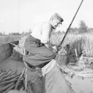 Fischer Jedro aus Leipe mit dem Kahn beim Fischfang. : Rybar Jedro z Lipjego z čołmom při łójenju rybow.