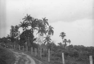 In San Martin (Lateinamerika-Aufenthalte 1934/1942 - 2. Kolumbien 1934-1937)