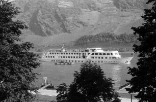 Oberwesel: Zwischen Bäumen, M.S. Prinses Margriet