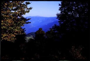 Schauinsland: herbstlicher Durchblick zum Feldberg