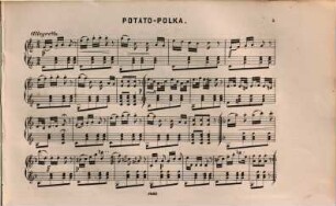 2 komische Polka : für d. Zither