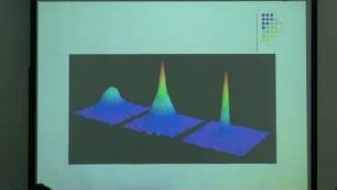 The Gross-Pitaevskii Equation and Quantum Vortices