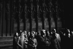 Freiburg: Am Münster