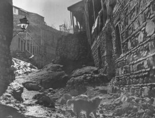Straßenzug mit Wohnhäusern, Straßenlaterne und Hund : Tbilissi. Straßenzug mit Wohnhäusern, Straßenlaterne und Hund