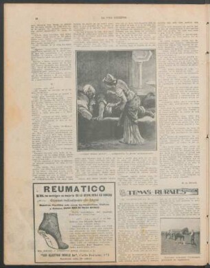 Temas rurales : El cultivo de la rosa
