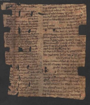 Glossarium - BSB Clm 29670(12