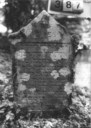 Grabstein 387 (Index: 99799656) Material: Sandstein Zustand: stark verwittert Maße HxBxT: 96x45x9 cm Beschreibung: Stele, Giebelabschluß, Schriftfeld rechteckig eingetieft Symbolik: Blüte: Grabstein 387