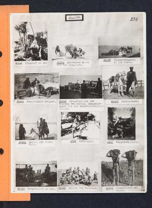 Albumblatt 12 mit Angebotsserie "Ägypten"
